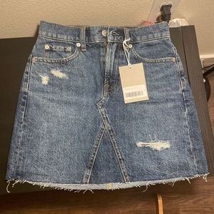 Everlane Denim Mini Skirt